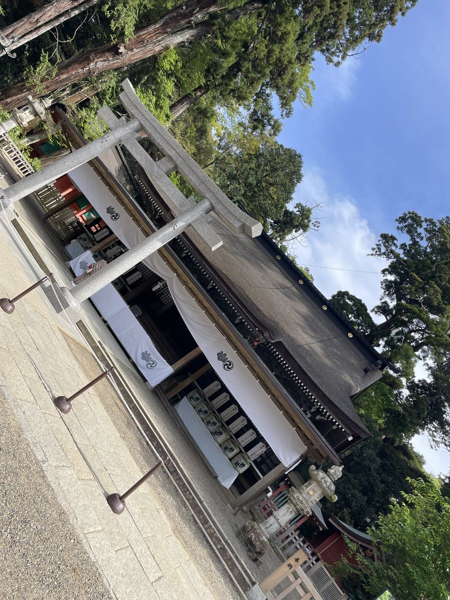 まぐろん丼🥕 tweet media