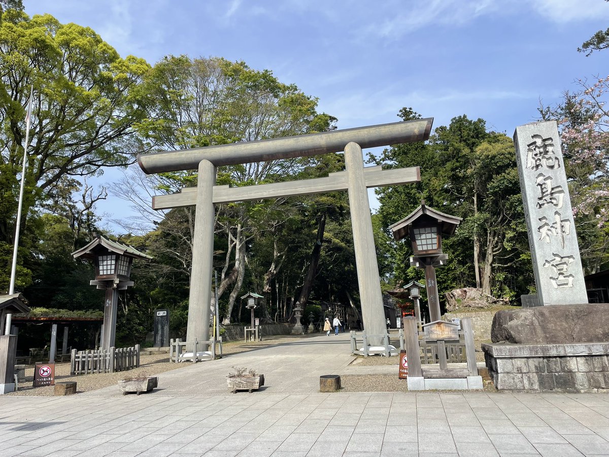 まぐろん丼🥕 tweet media