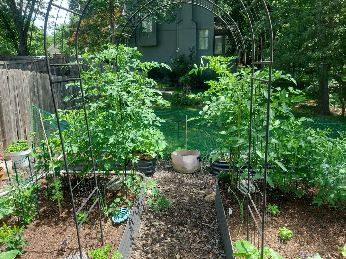 100mi_runr tweet media