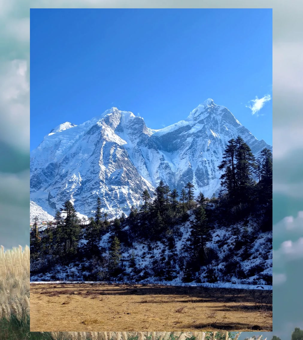 Devon Adler tweet media