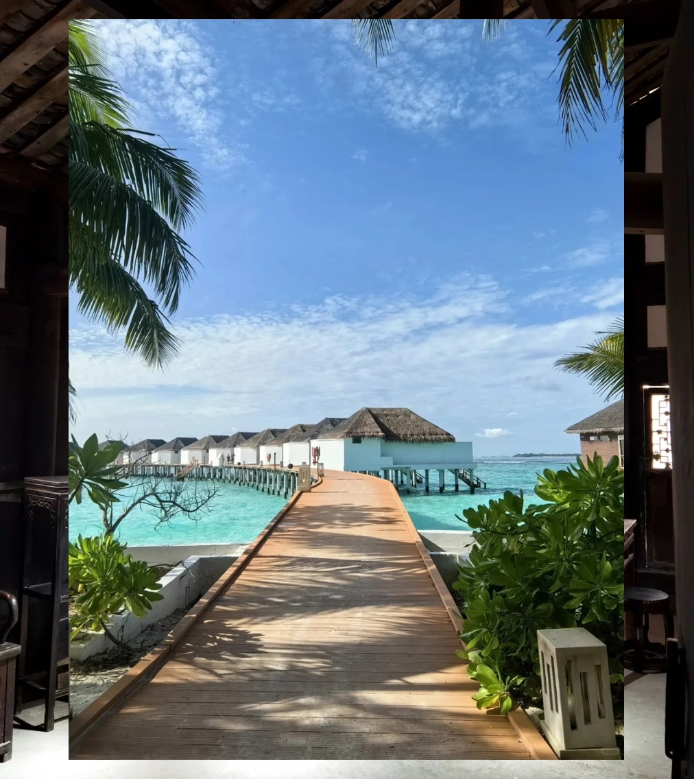 Stack Patel tweet media