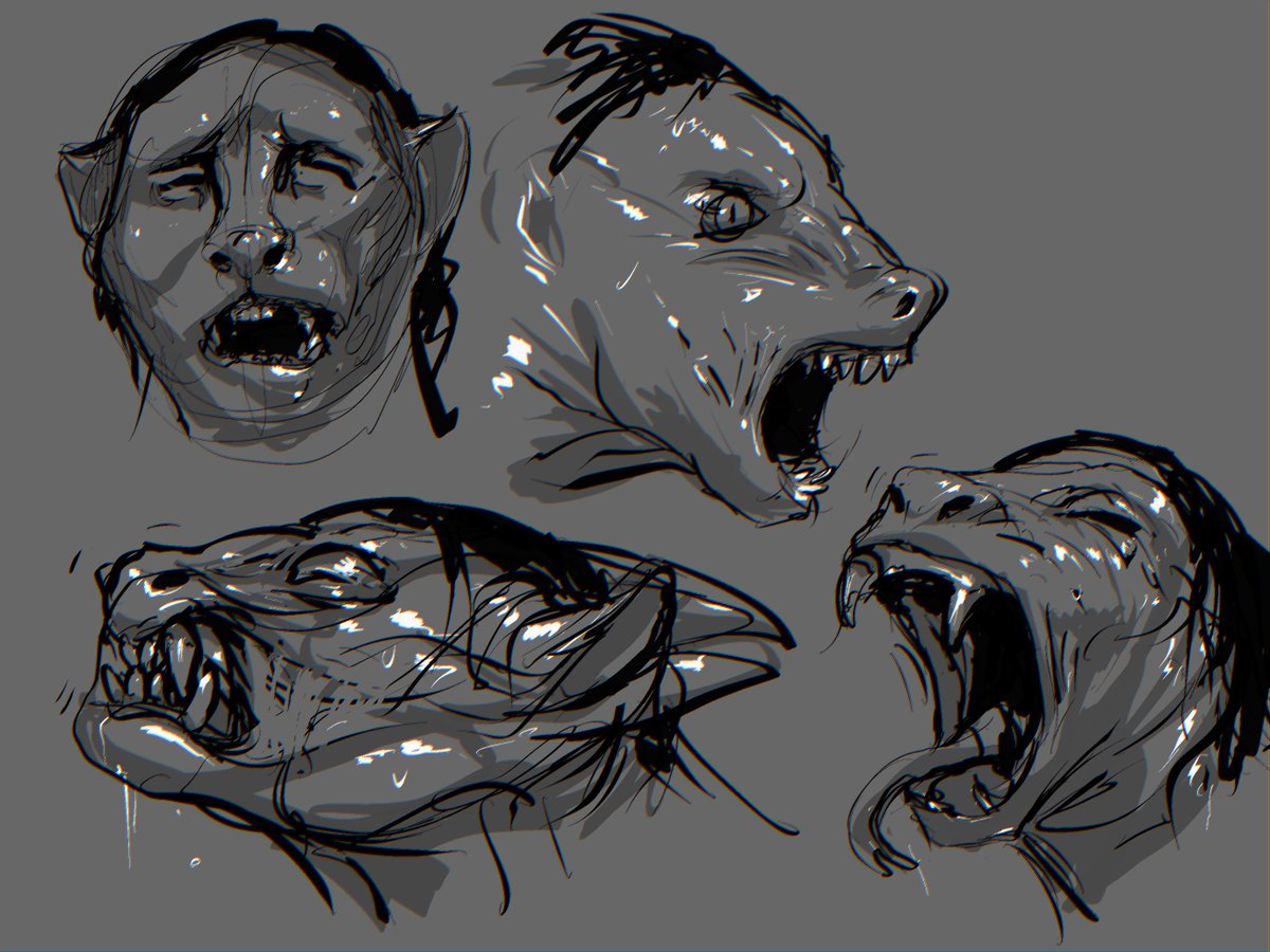 Sketches- a bunch of mid-shift TF snoots