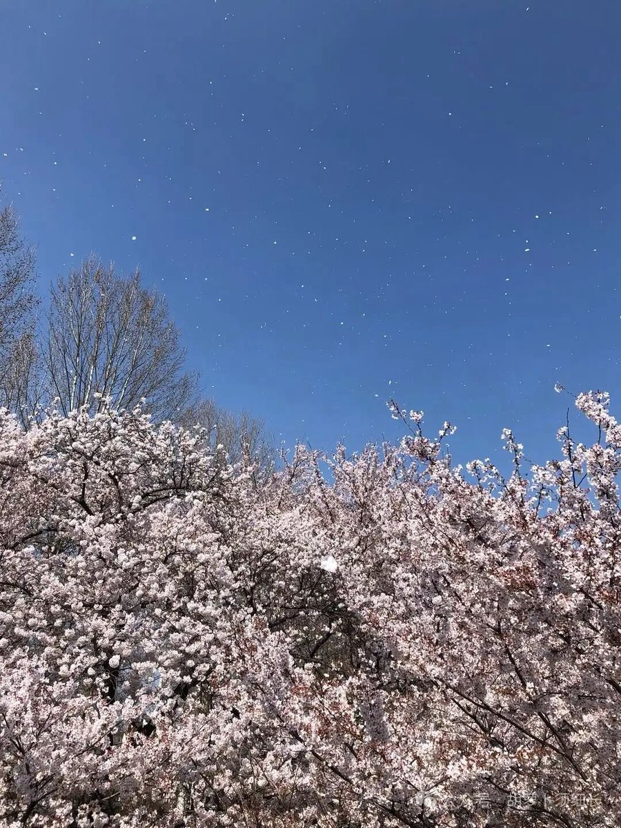 Dododeyitian's tweet photo. 夏天快点来吧！你们喜欢什么季节 https://t.co/wy4tBACa7Y