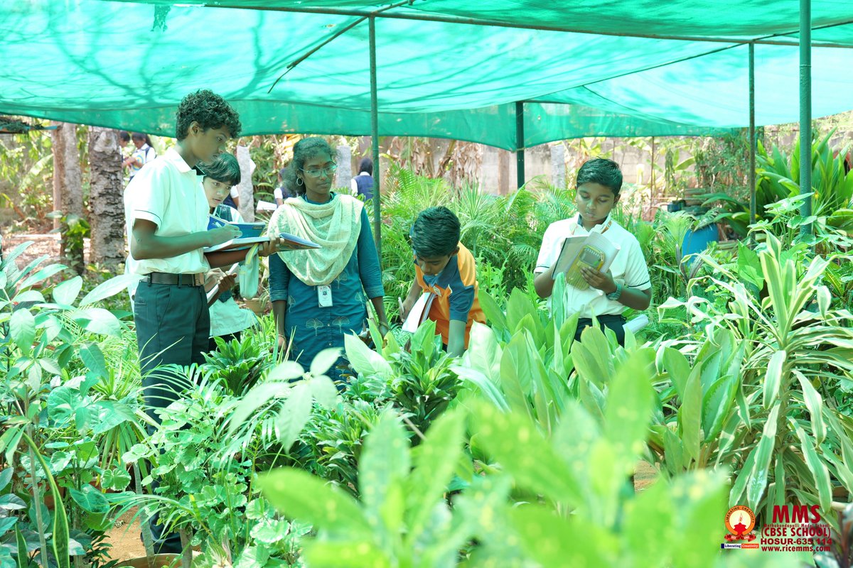 MmSchooltn's tweet image. MMS Nursery Visit Brings Learning to Life at MM School

#MMSchool #ExperientialLearning #MMSNursery #LearningBeyondClassroom #SchoolCampus #StudentLife #HolisticEducation #HosurSchools #NEP2020 #FutureReadyEducation #CampusLearning #ExploreAndLearn