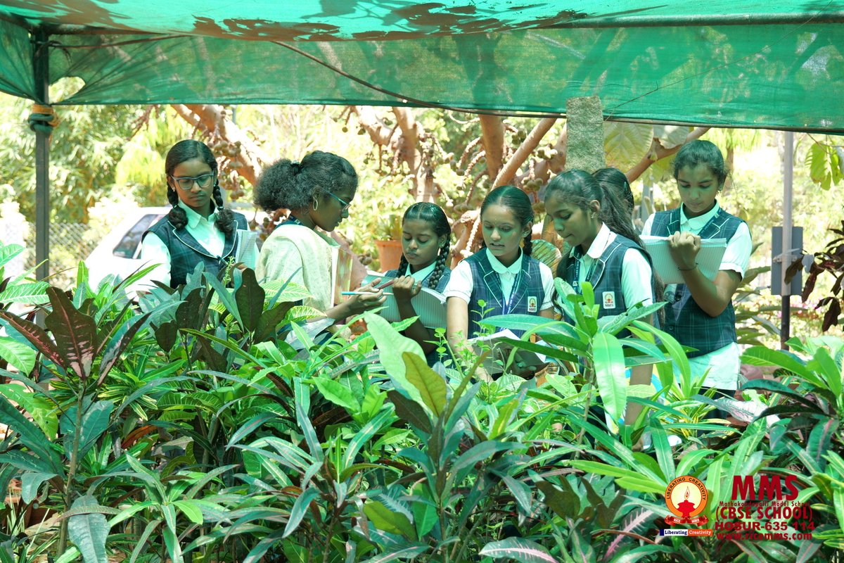 MmSchooltn's tweet image. MMS Nursery Visit Brings Learning to Life at MM School

#MMSchool #ExperientialLearning #MMSNursery #LearningBeyondClassroom #SchoolCampus #StudentLife #HolisticEducation #HosurSchools #NEP2020 #FutureReadyEducation #CampusLearning #ExploreAndLearn