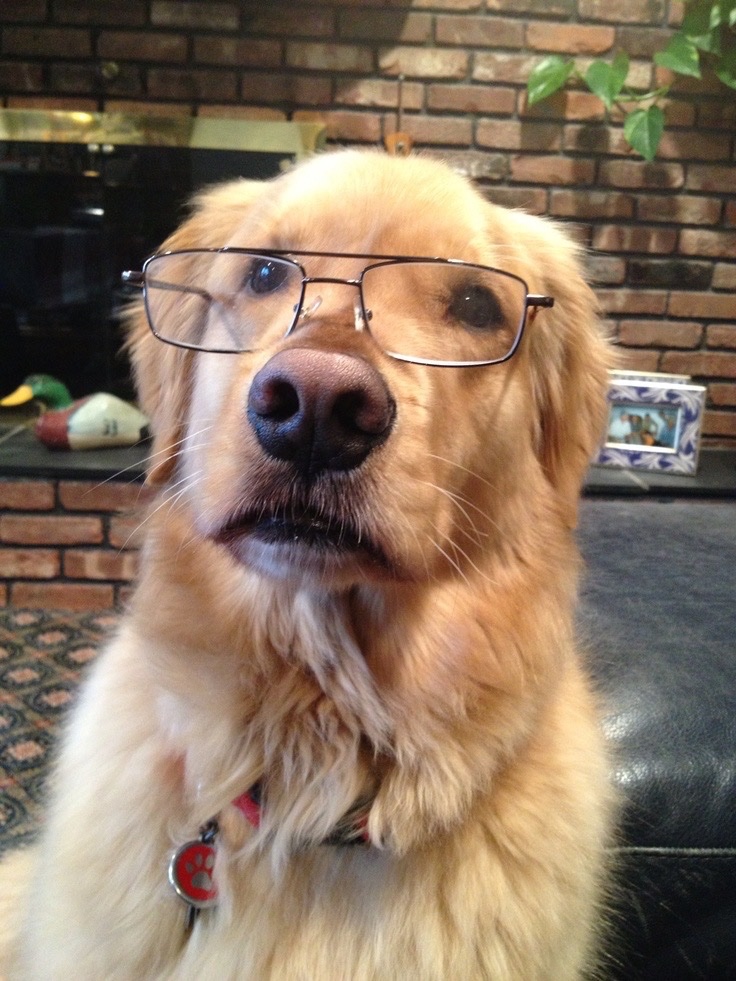 내다정한파도 tweet media