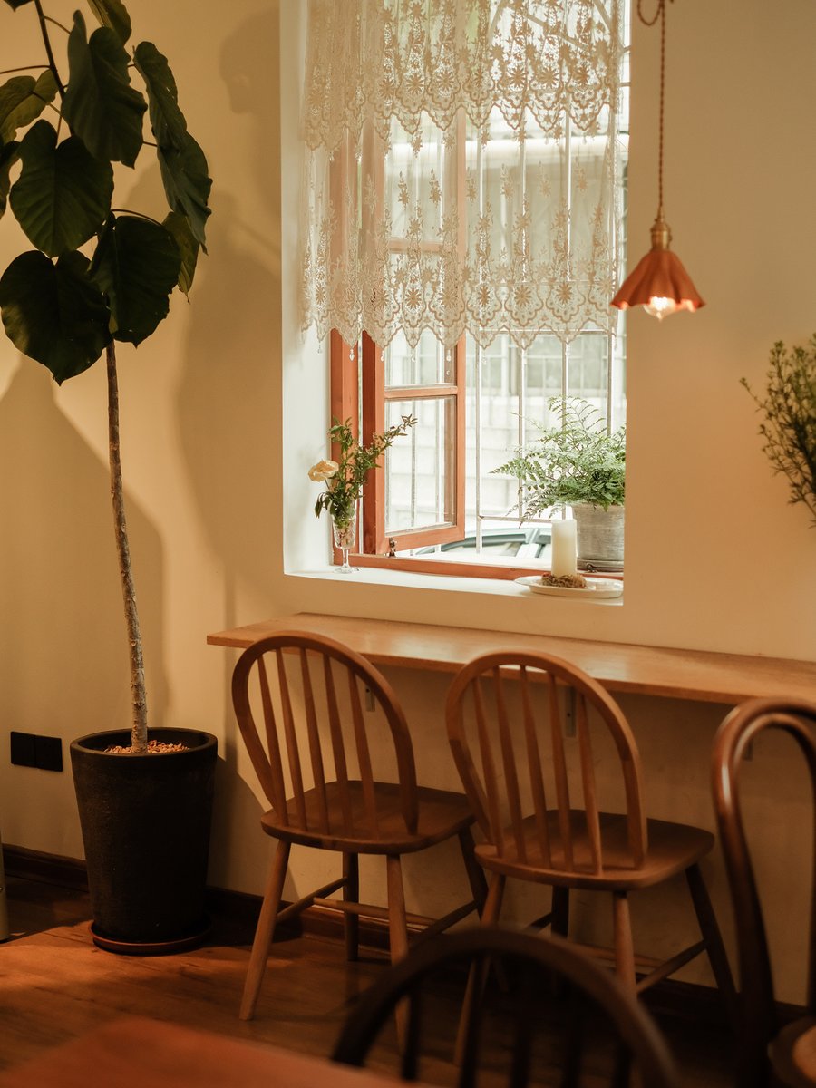 laura lojko tweet media