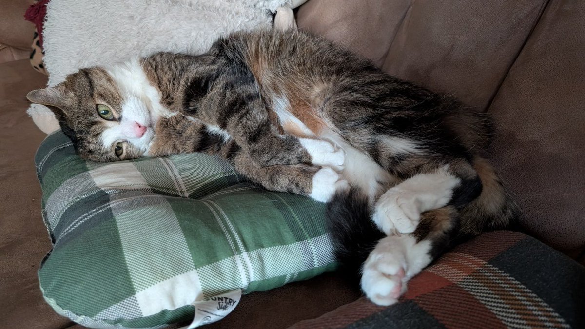 He sings at night but cant really be mad at him when he is such a cute little fucker