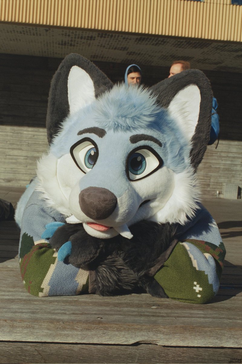 Aero 🦊 tweet media