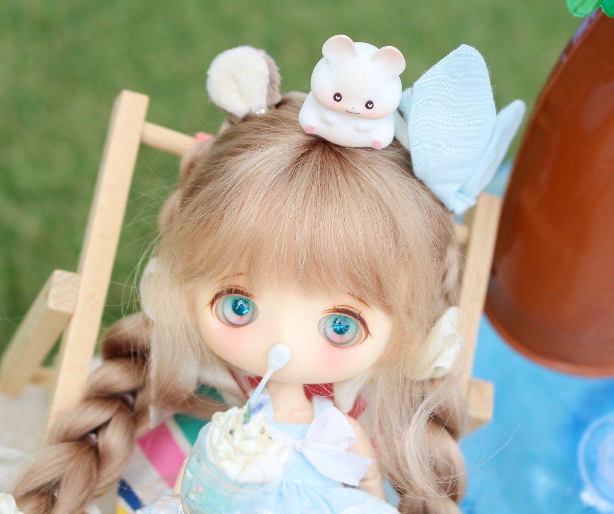 뽀또🩷

#우리집_도토리