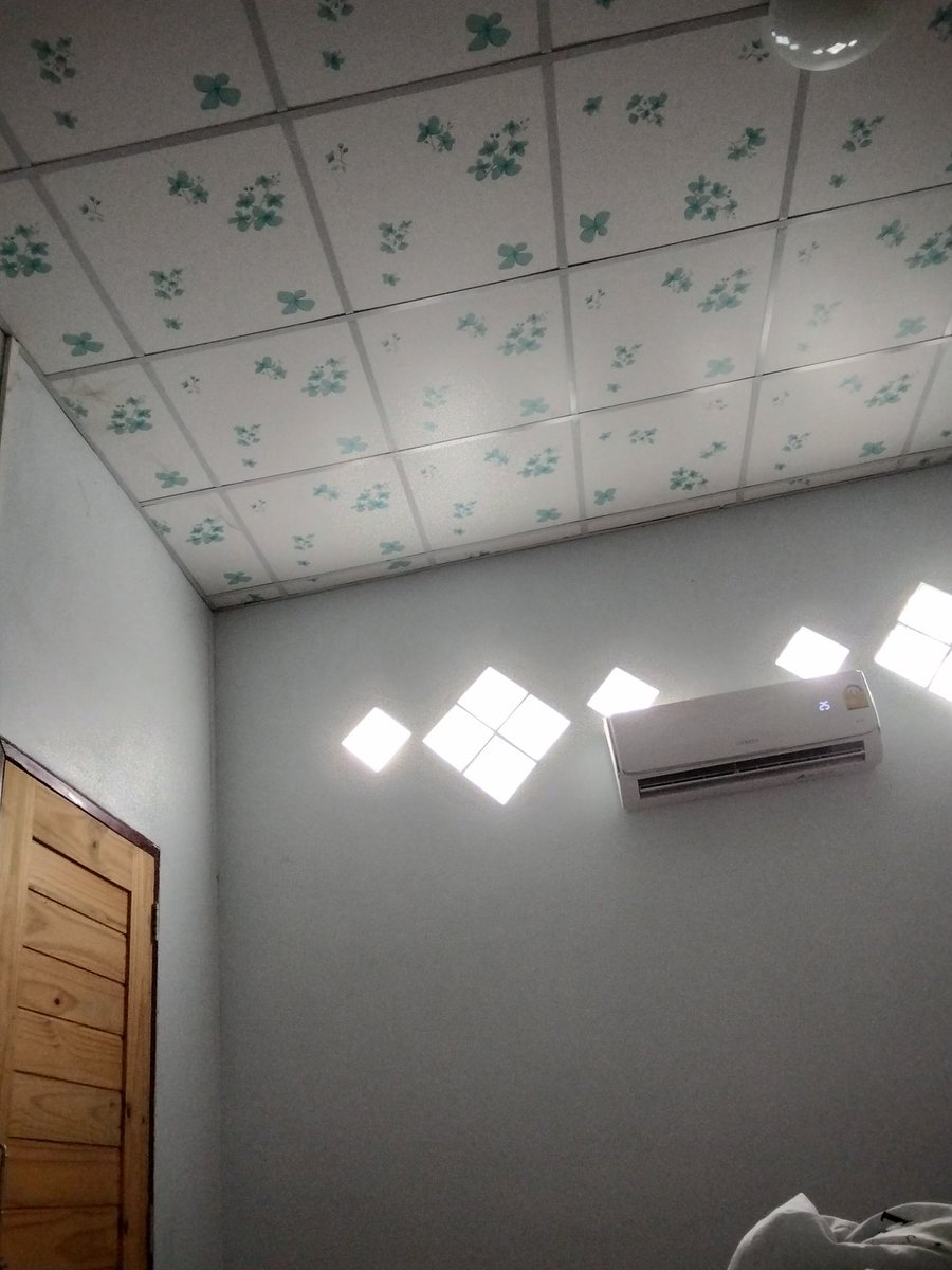 🐷ชอบกินชาเขียว 💚🤤 tweet media