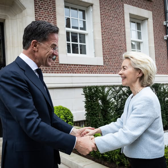 Two rats side by side