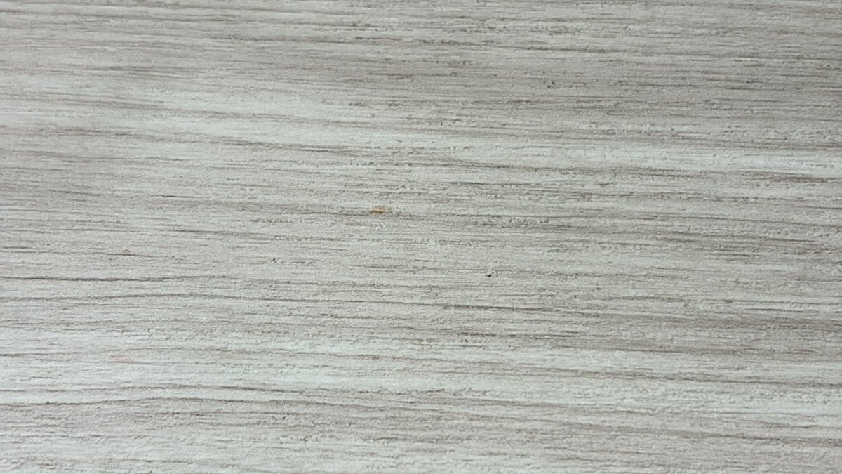 ⋆˚࿔ tweet media