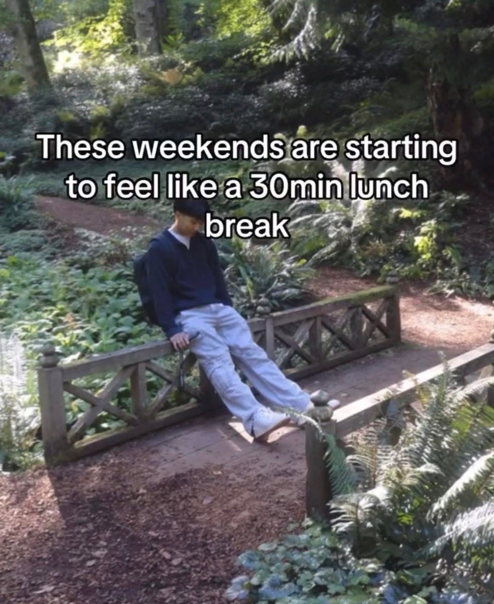 Respectful Memes (@respectfulmemes) on Twitter photo 