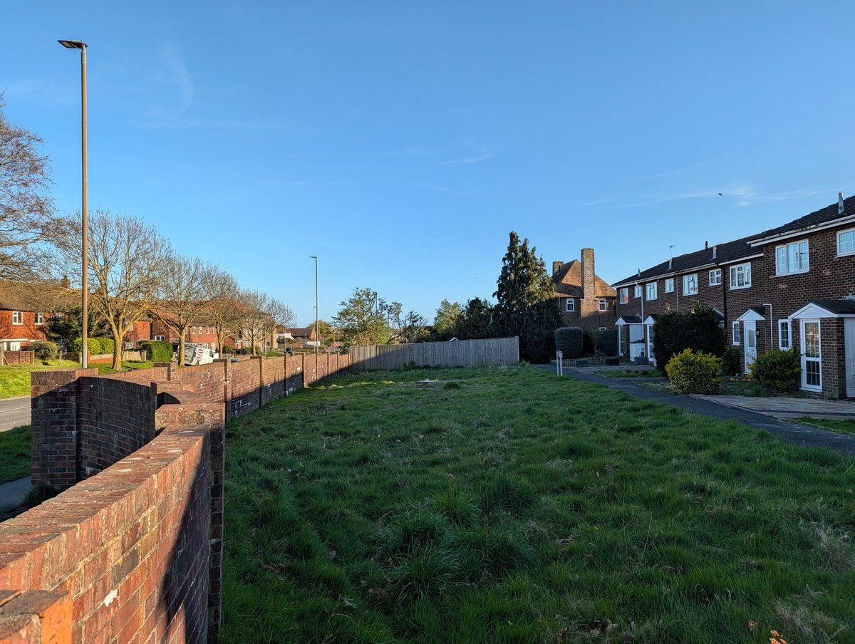 Saffron Swansborough tweet media