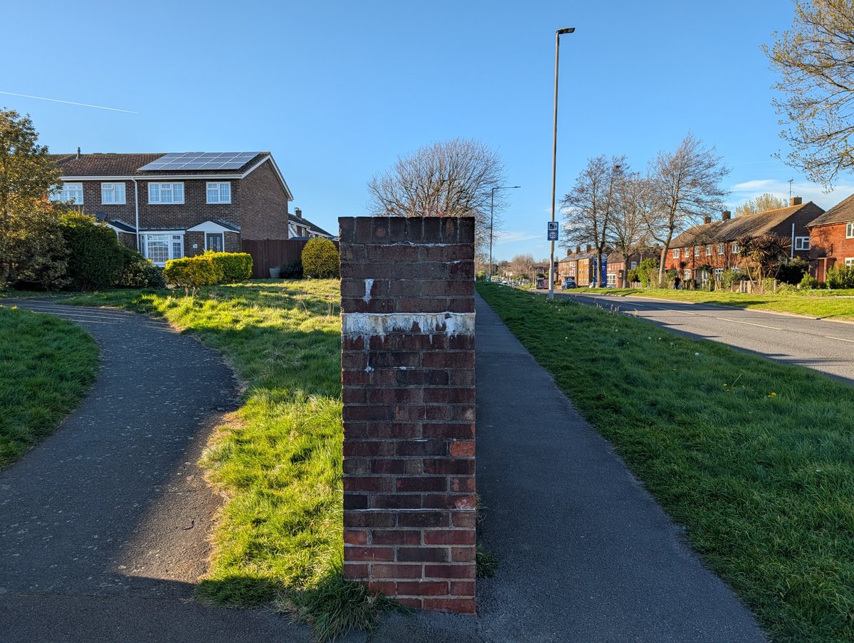 Saffron Swansborough tweet media