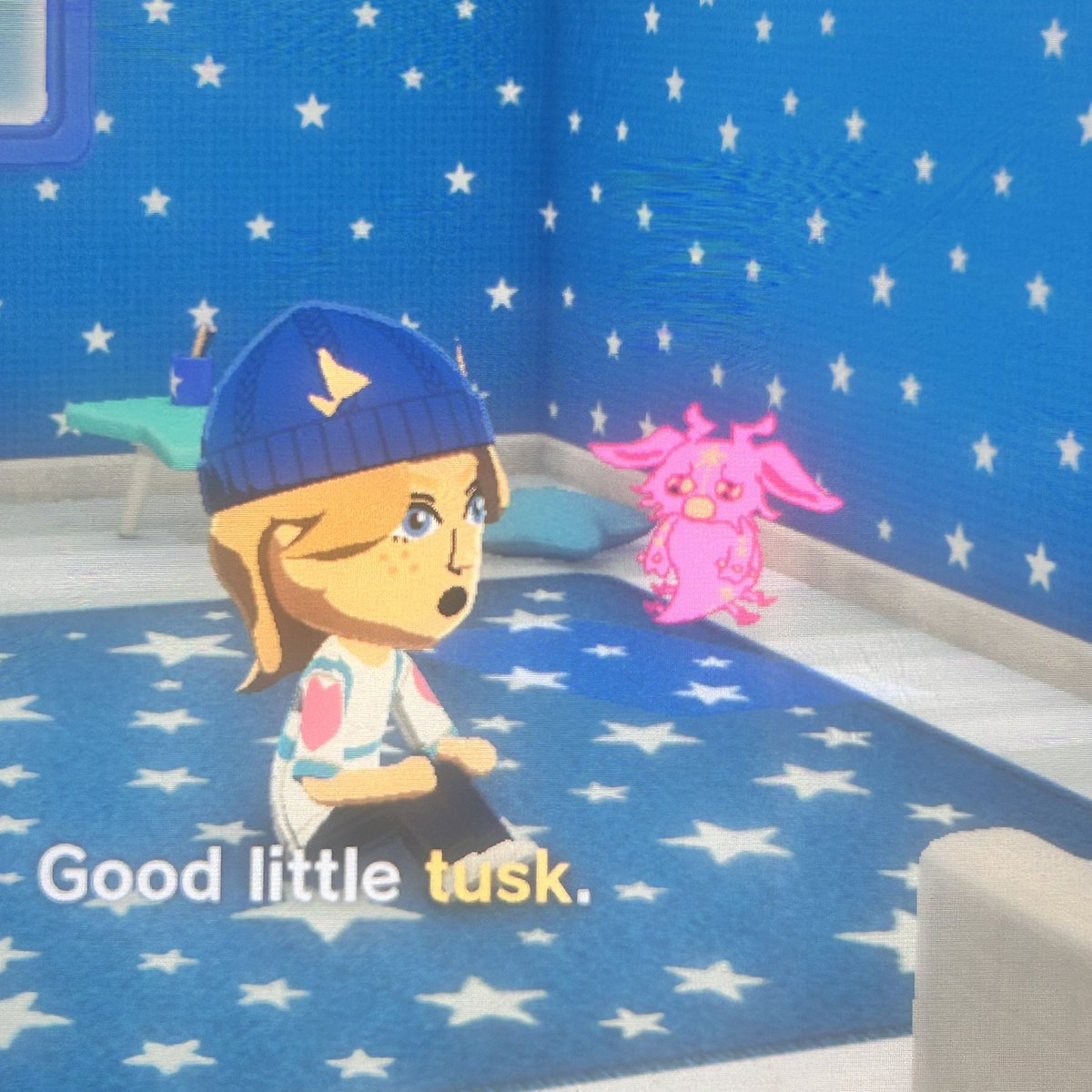 Kasio || COMMS OPEN tweet media