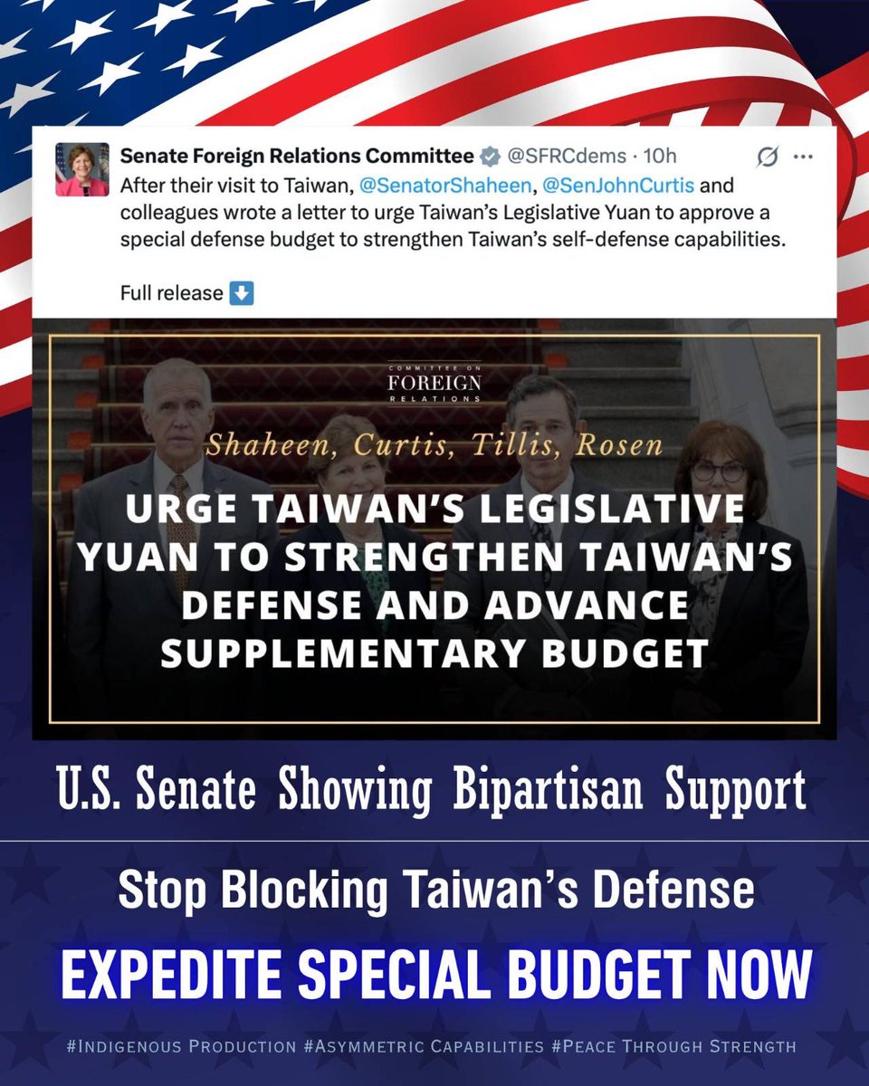 民主進步黨 Democratic Progressive Party tweet media