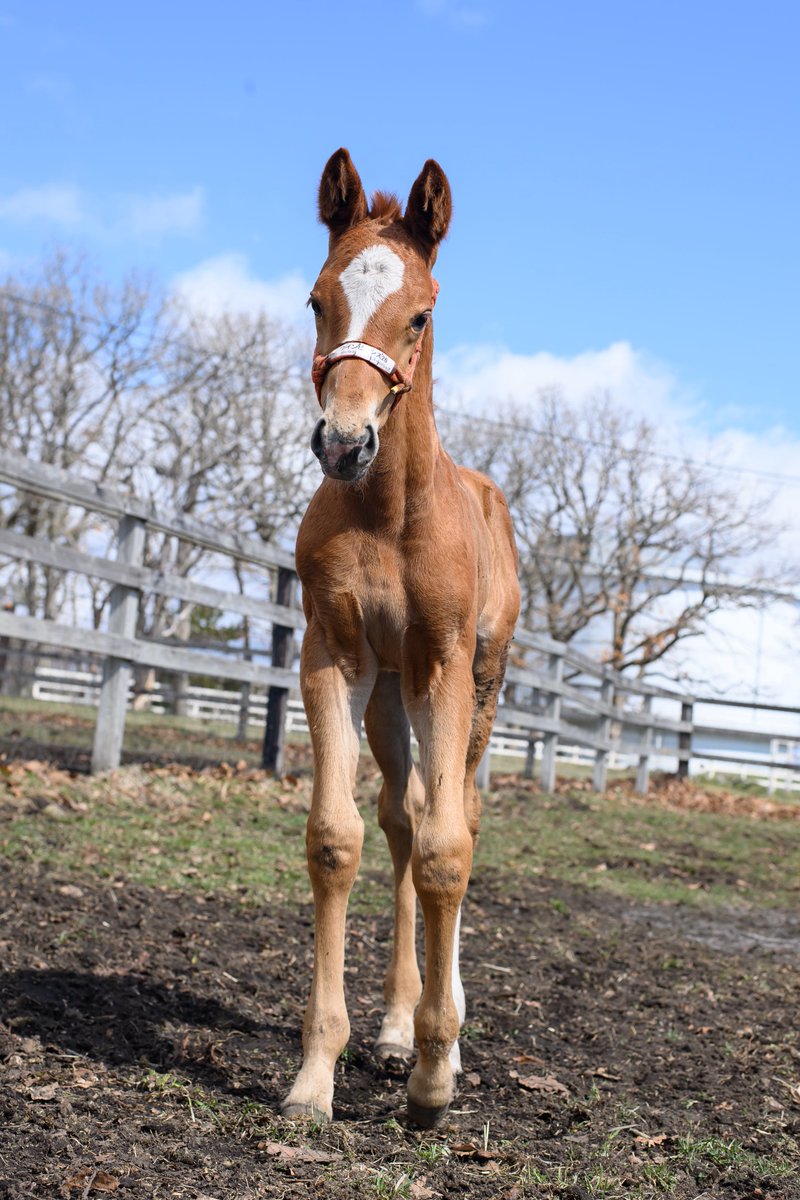 りり🫧🪼 tweet media