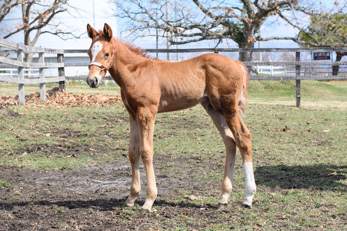 りり🫧🪼 tweet media