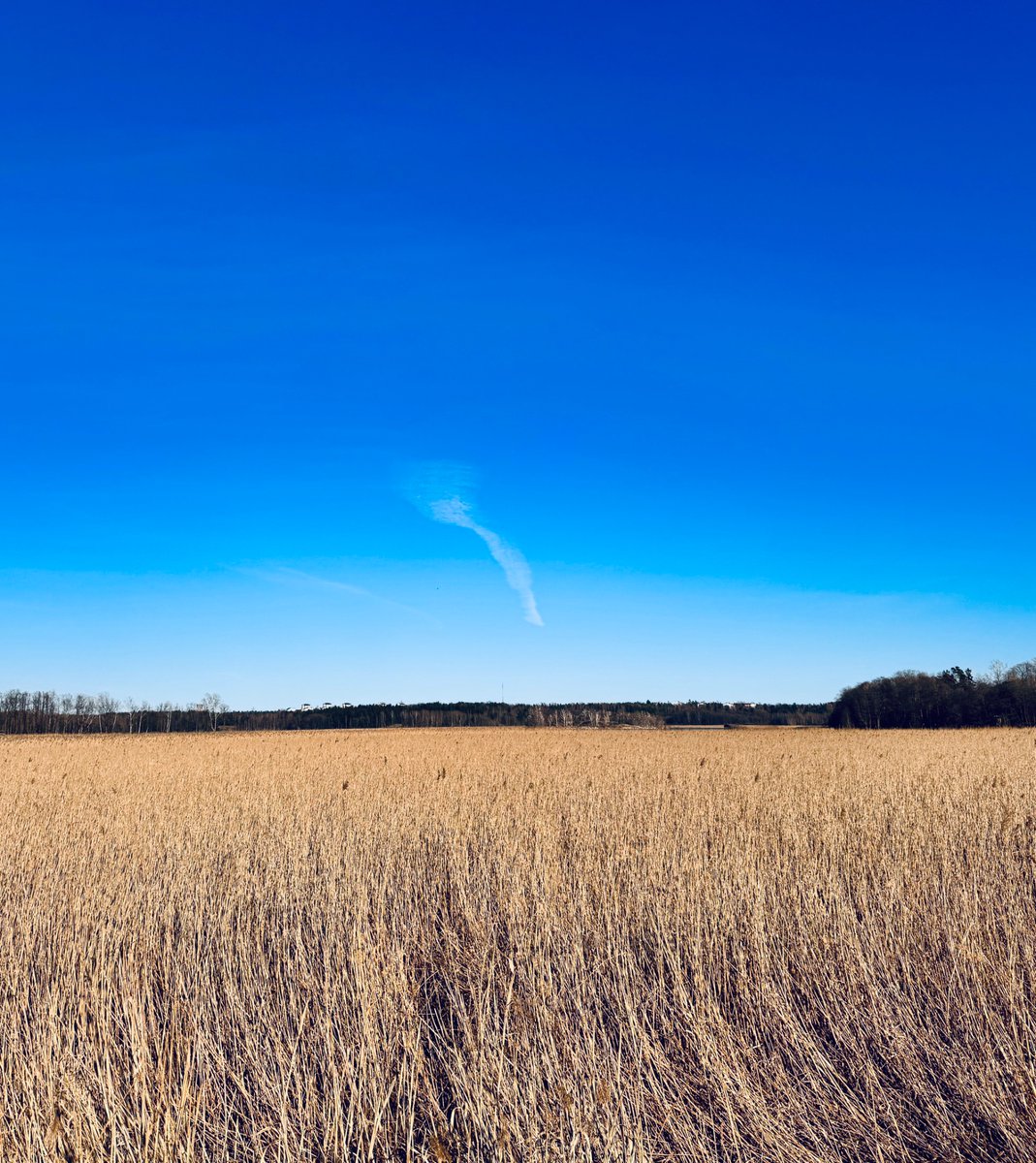 BSapag's tweet image. Huomenta! 

#Finland #SpringVibes #wetlands
