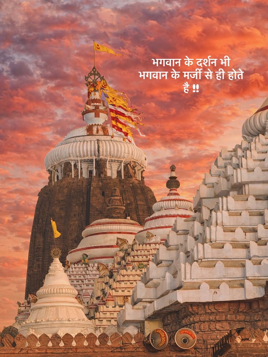 This line is 100% true 🙌