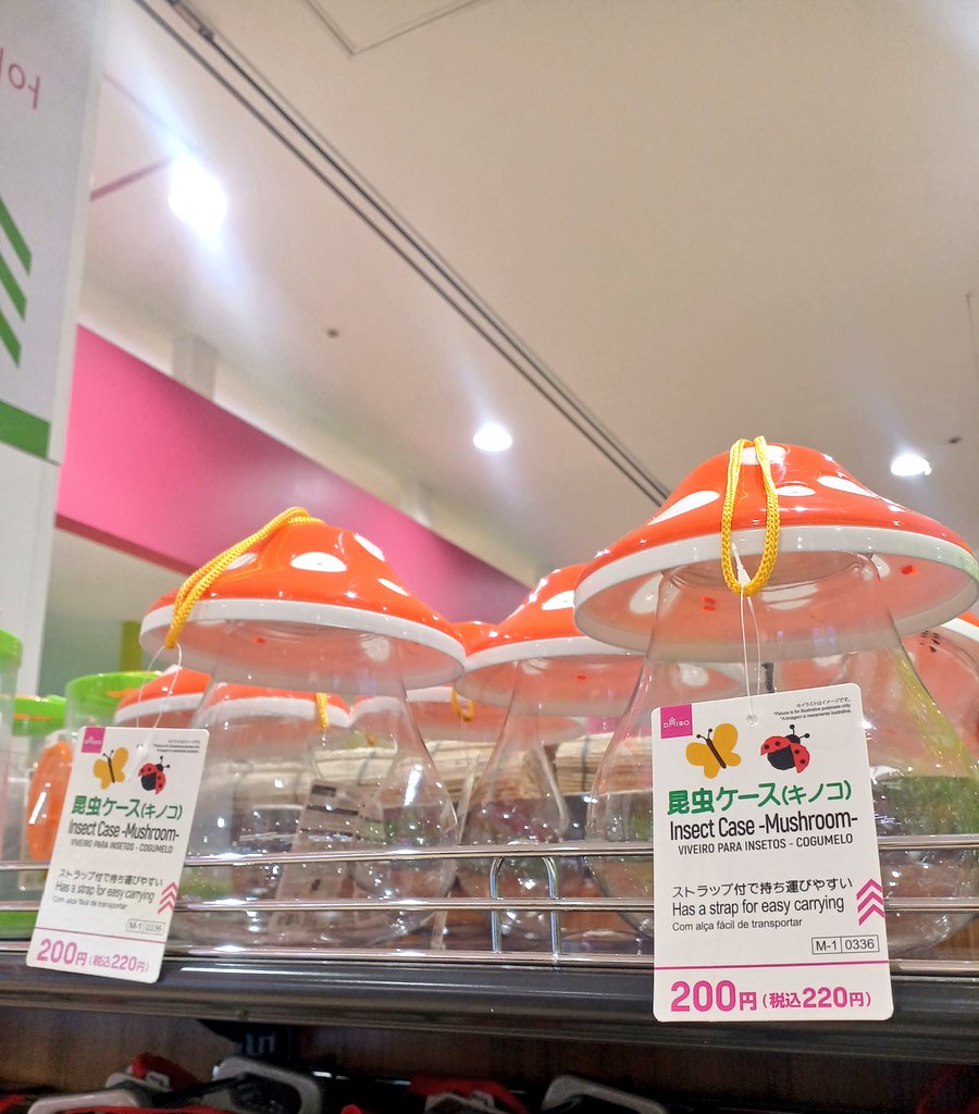 金宮🌸星願参加予定 tweet media