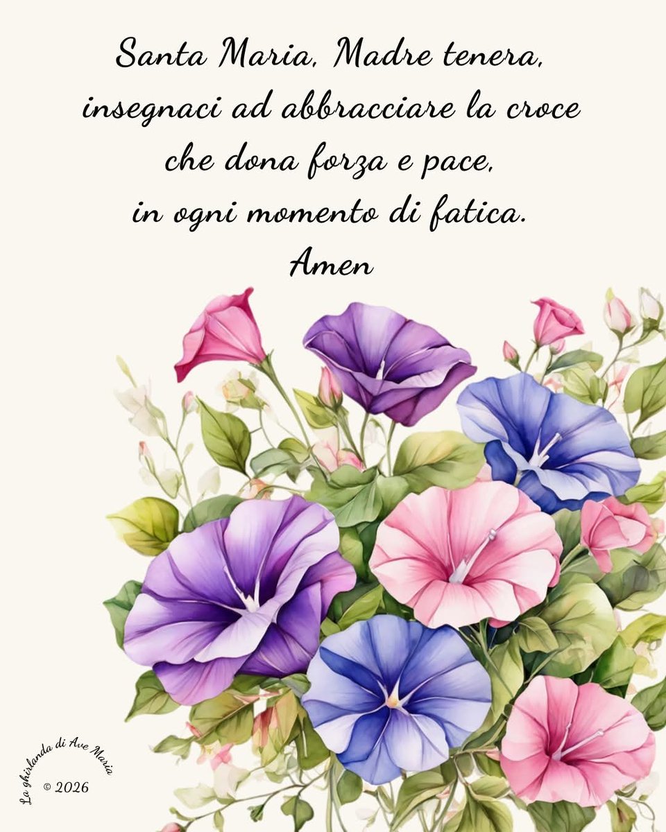 emmpad2's tweet image. #Twitter #TwitterX #Buongiorno #BuongiornoATutti Gesù vi benedica