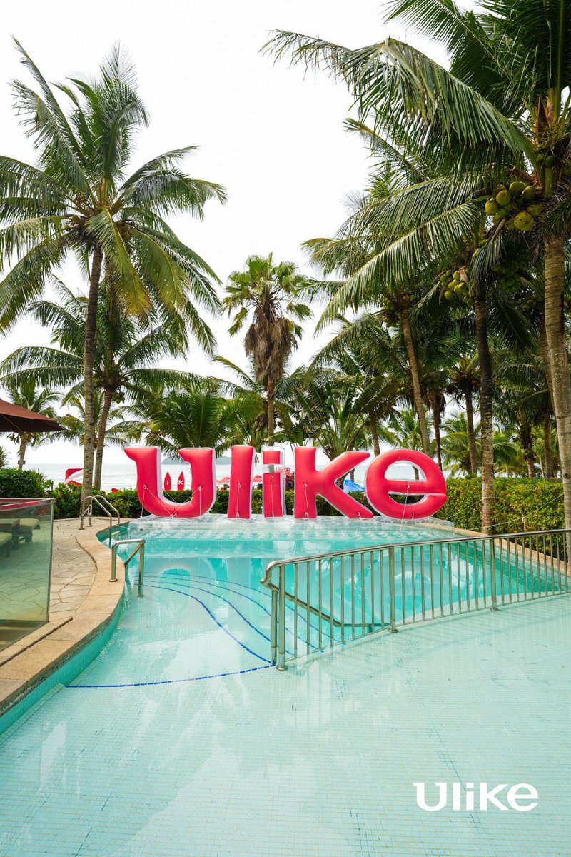 LingOrm_TagTrend 📈 tweet media