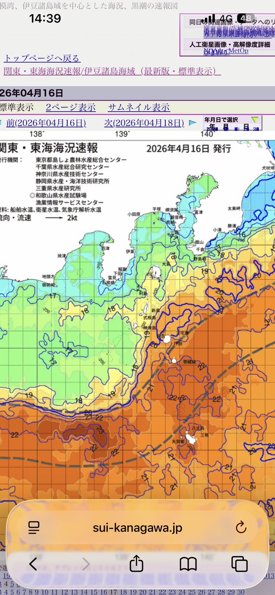 佐藤 直樹 tweet media
