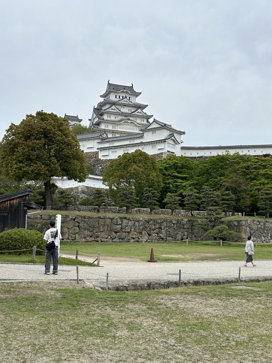 date2600 tweet media