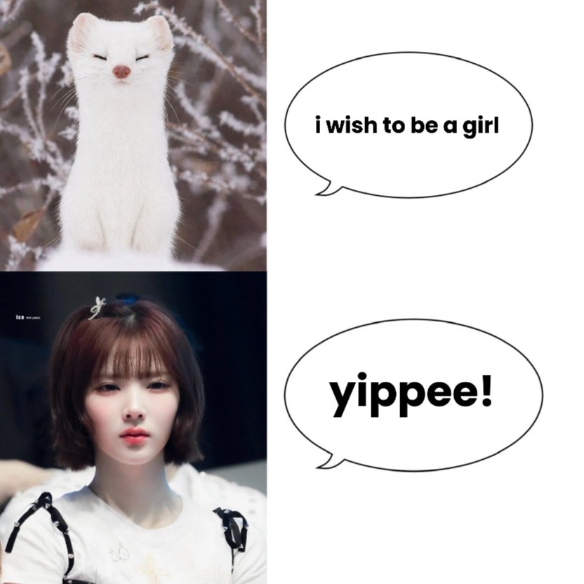 jiwoo tweet media