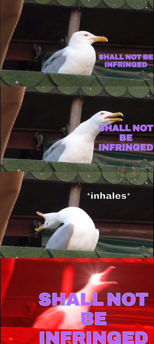 big Ds FedPoasting Boogaloo tweet media