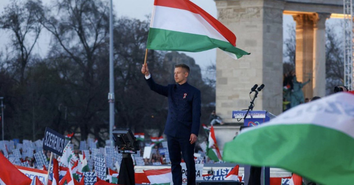 Wolność__Słowa tweet media