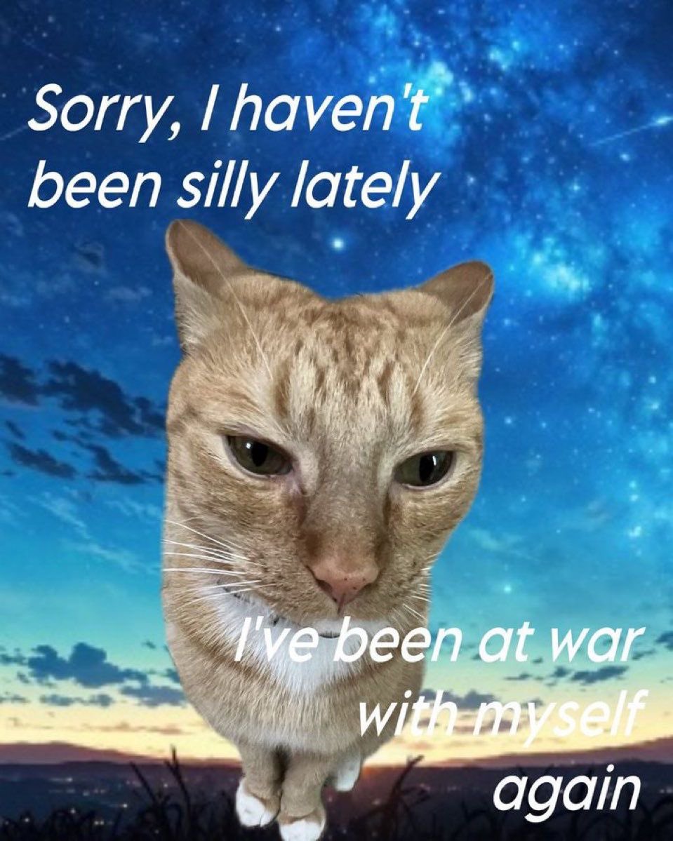 Cat Posted tweet media