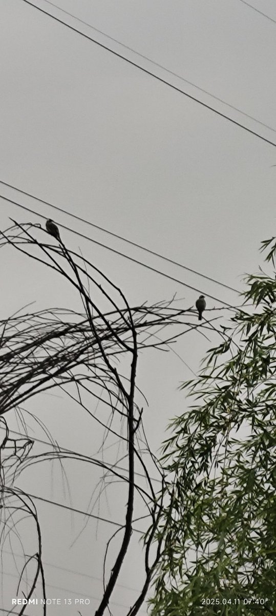 MademOzcan's tweet photo. Swapped 1hr scroll for 1hr walk—sunshine, birds, and zero FOMO. My mind feels lighter already #SmallWin #LifestyleShift https://t.co/QSRHZb3lQ5