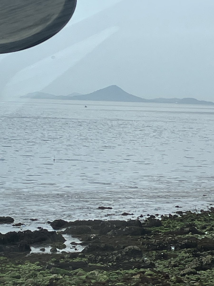 レジ@月2回船長と猫との日常 tweet media