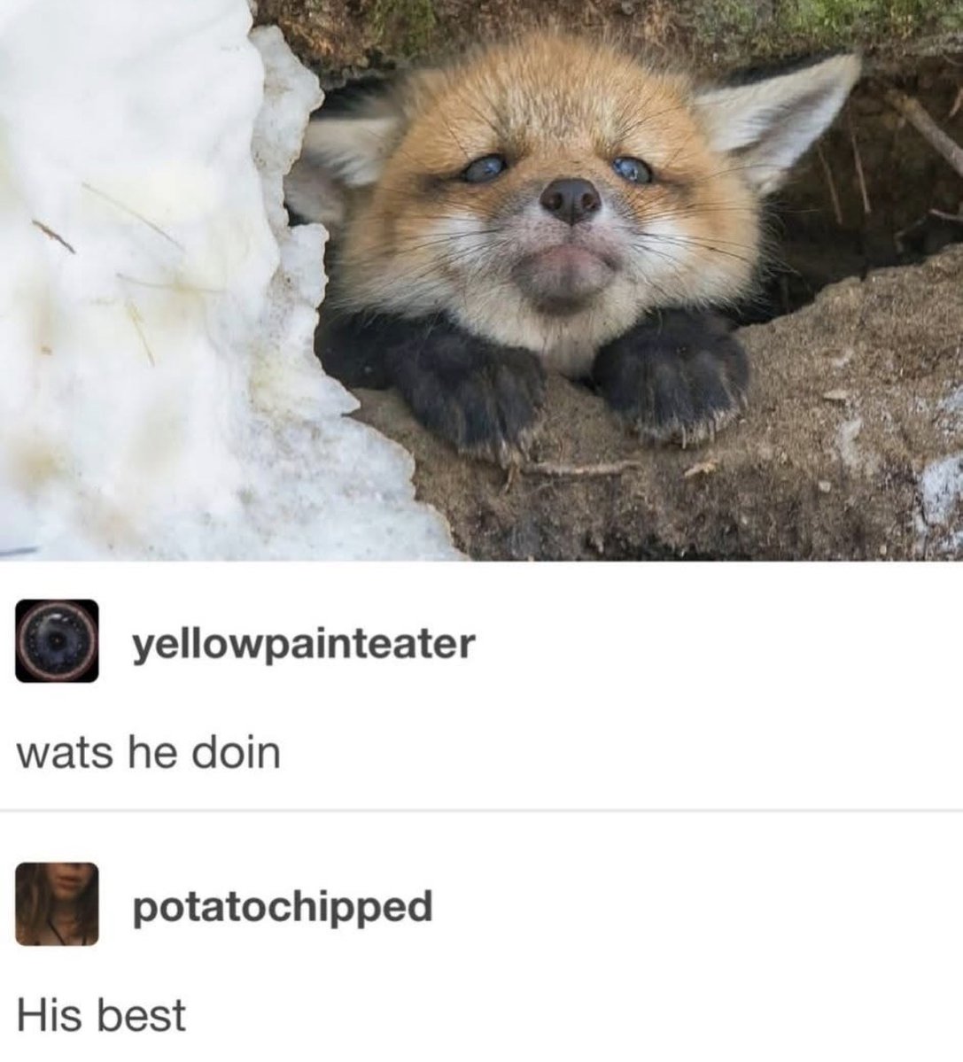 Respectful Memes (@respectfulmemes) on Twitter photo 