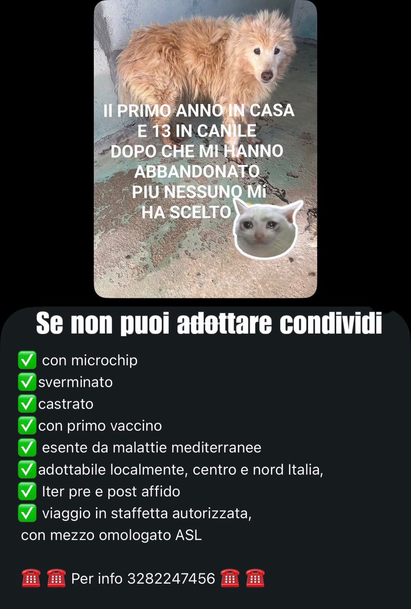Per cortesia vi chiedo un secondo che per noi è nulla,per lui può cambiare la vita! Grazie a chi lo aiuterà 
Tiriamolo fuori di lì🤦🏻‍♀️