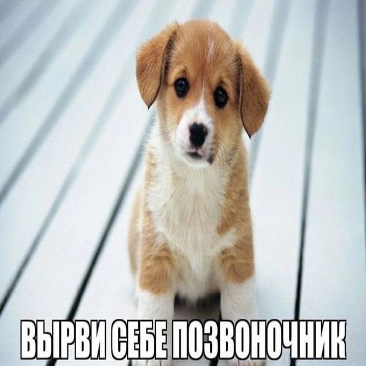 Bangchan is my Icon 👑🌊||DO IT🩶🩷 tweet media