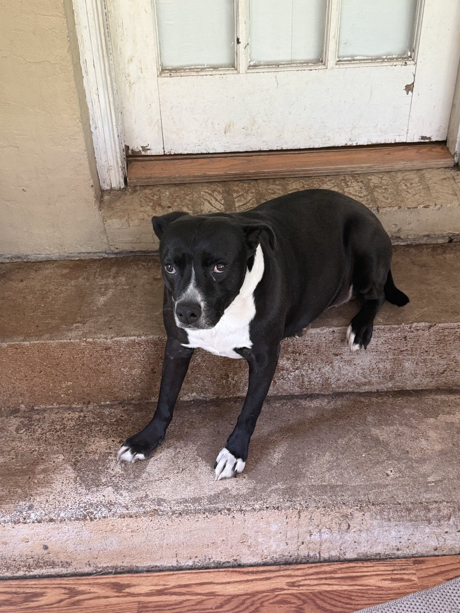 memphismarkog-MphsMark tweet media