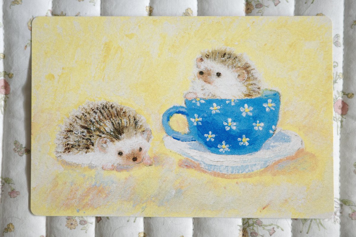 이번 엽서들도 예쁘게 나왔답니다🐹