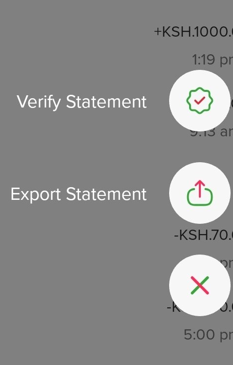 GriffinMisiani's tweet photo. @Safaricom_Care It's not there https://t.co/CD4QQEYqR3
