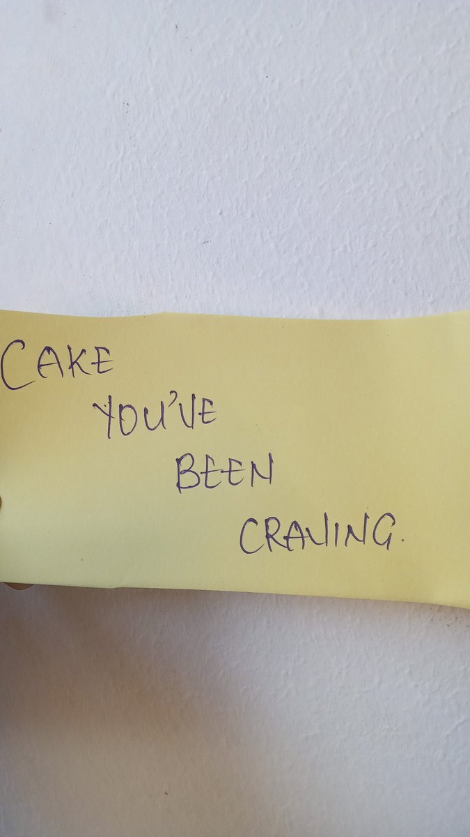 Tofyn 🐾 tweet media