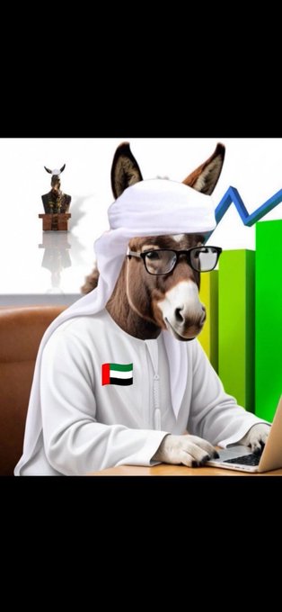 بن حسن tweet media