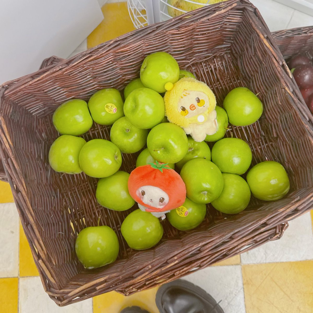 skye ( ྀི-ɞ-) tweet media