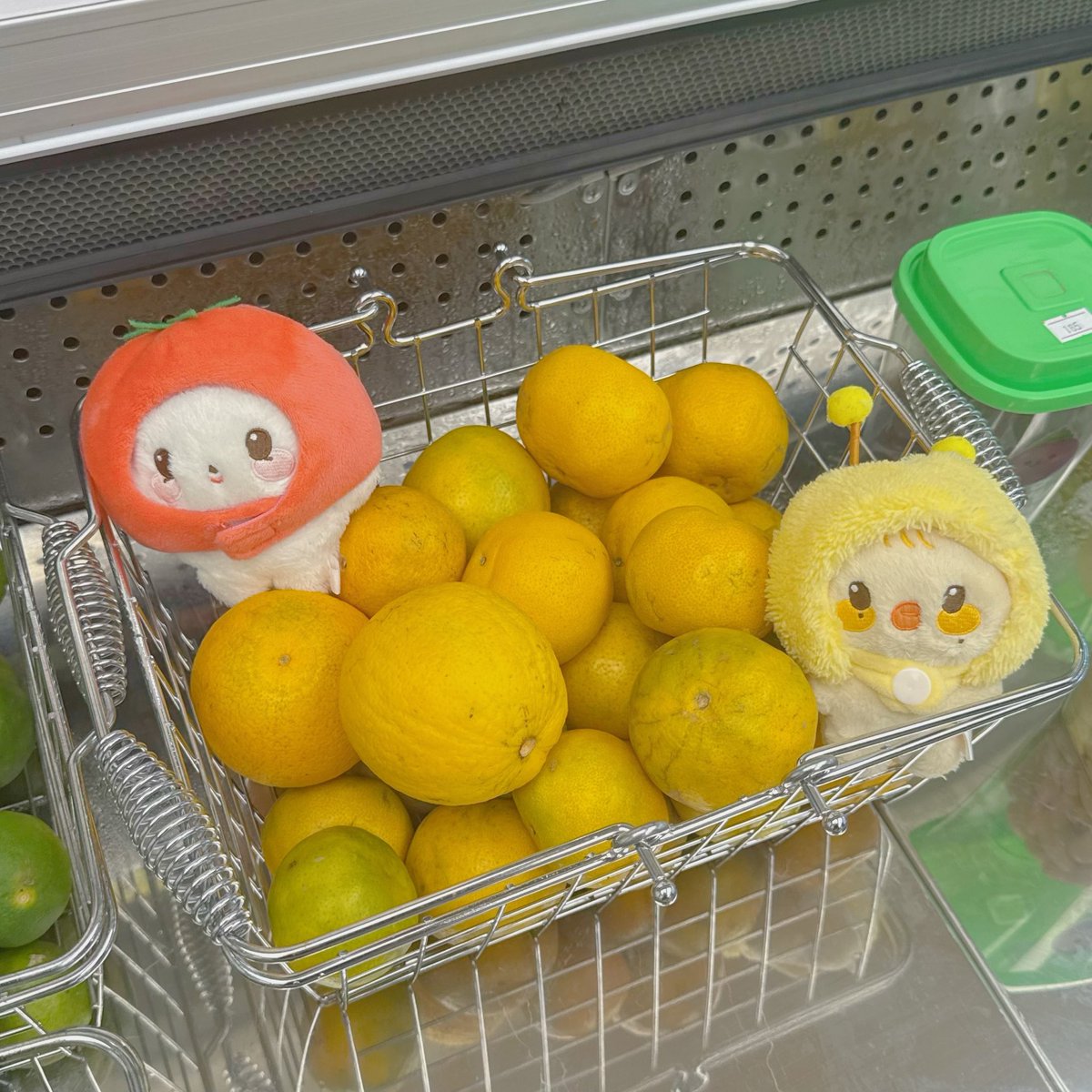 skye ( ྀི-ɞ-) tweet media