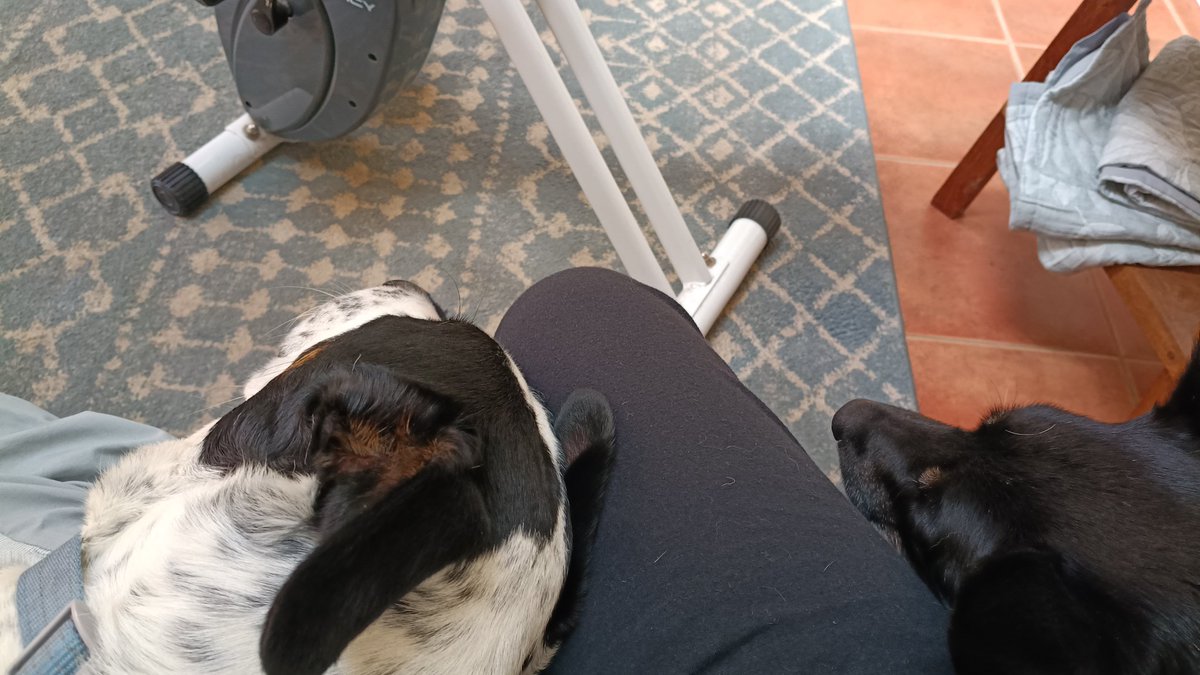 Cheese on Toast tweet media