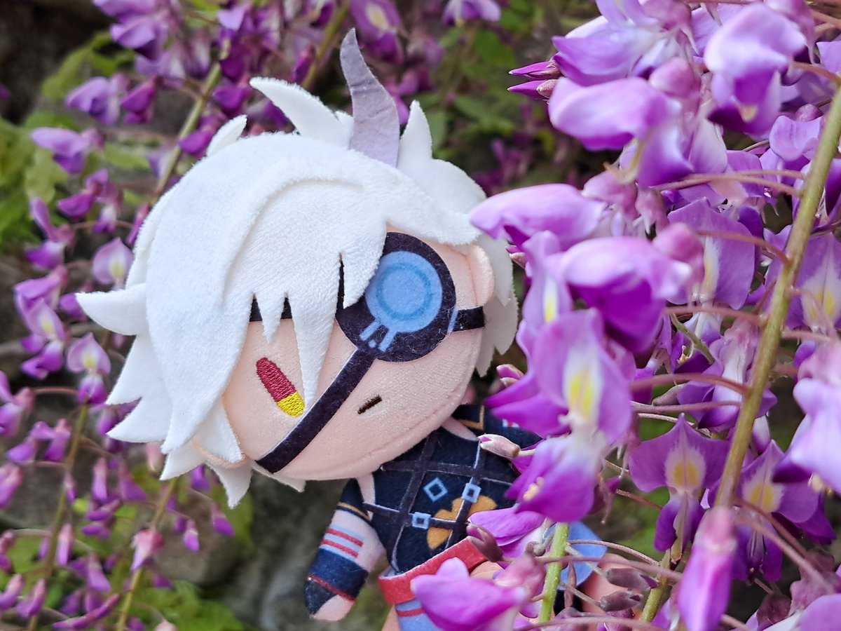 ぴすけ tweet media