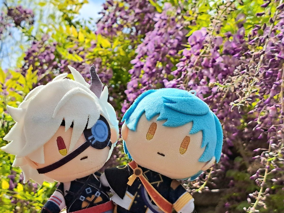 ぴすけ tweet media